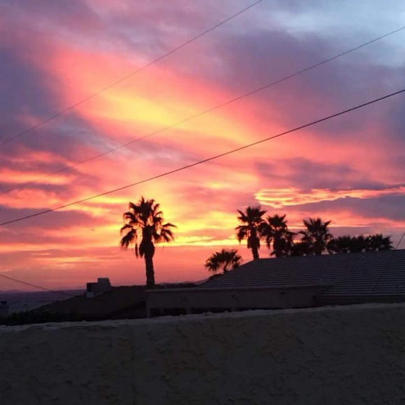 Meet your Posher, Sandy - Picture 3 of 7